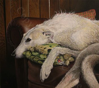 Lurcher on a Leather chair